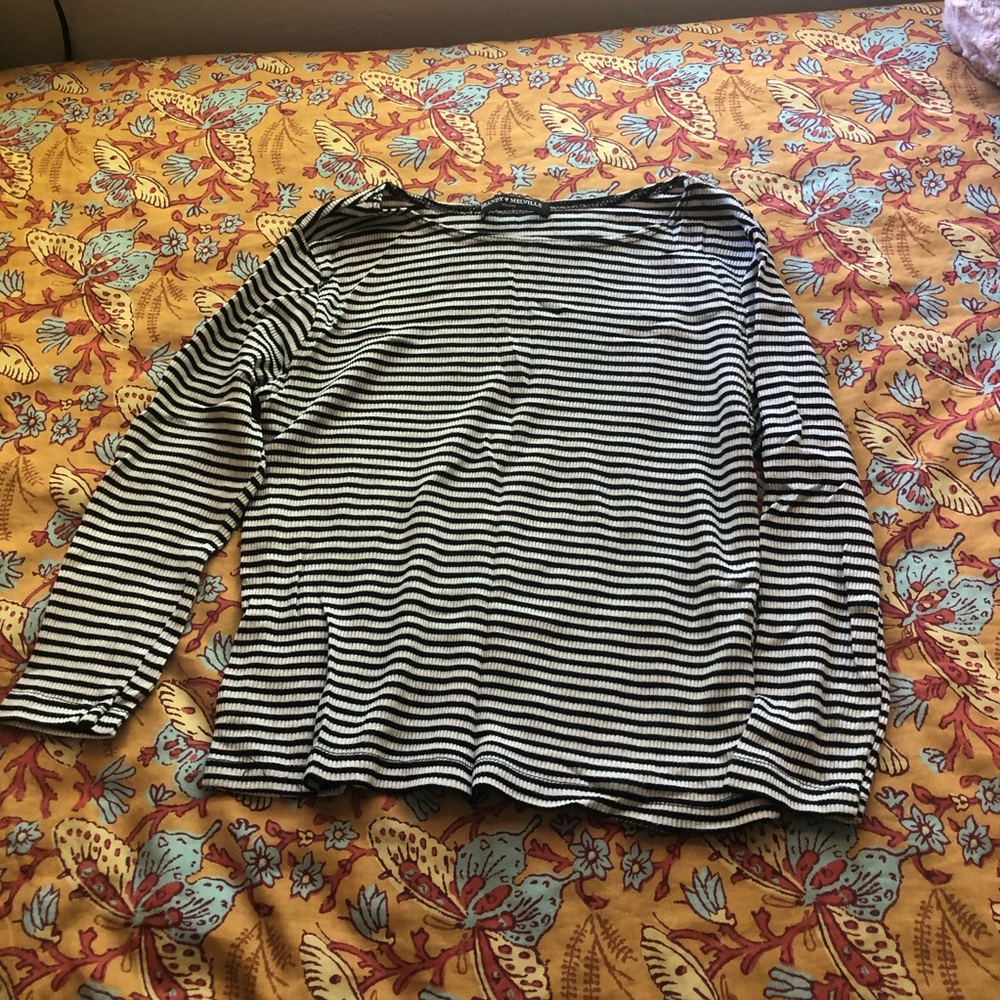 Brandy Melville Strip Crop Top